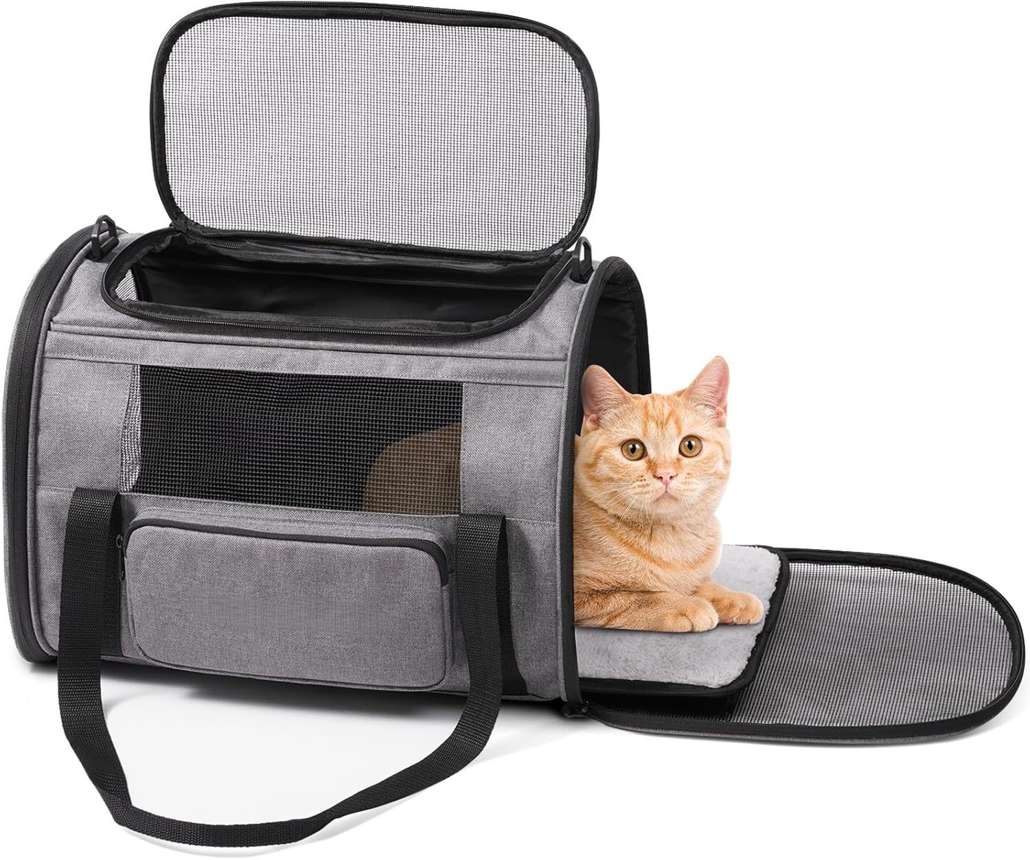 Custom Cat Carrier Factory