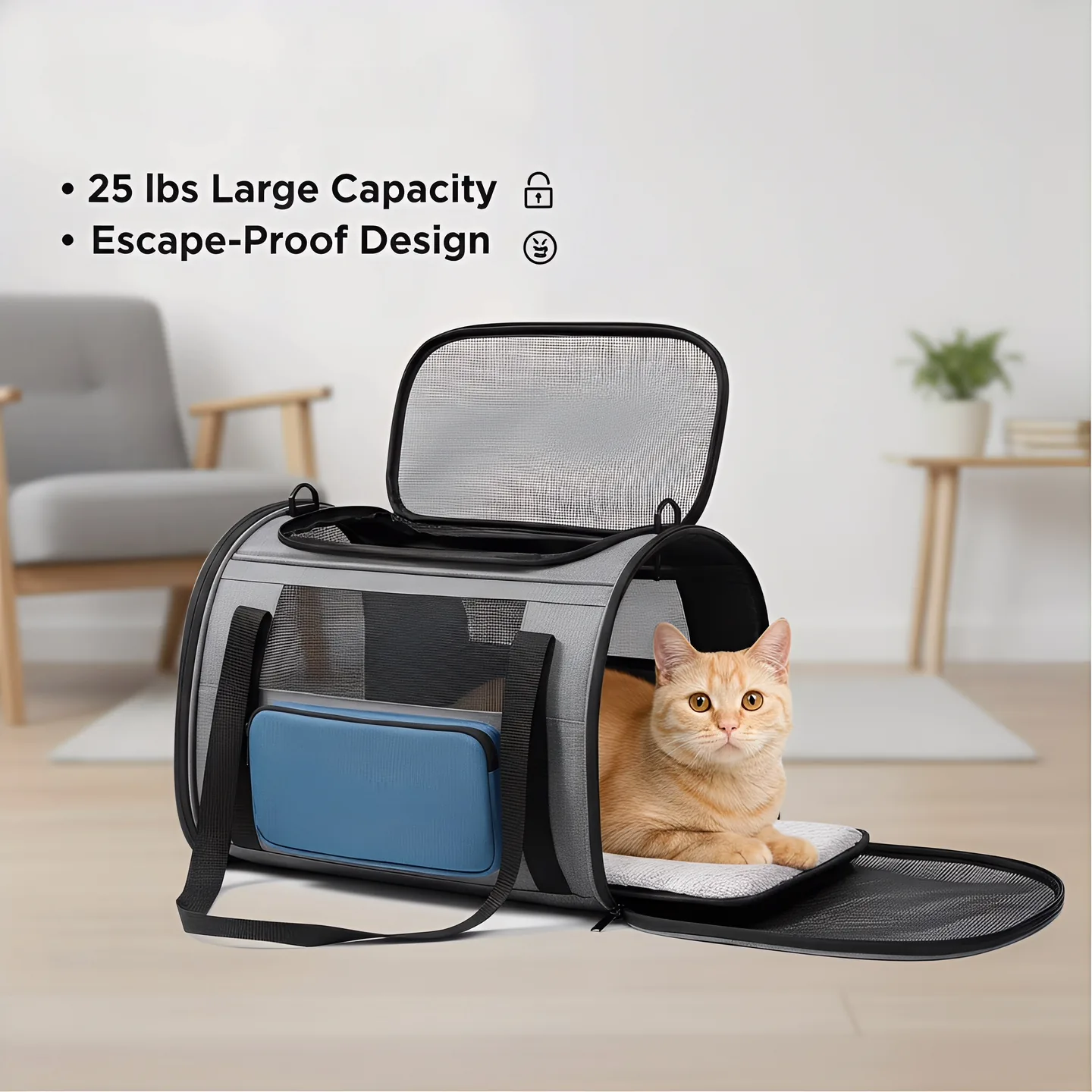Custom Cat Carrier Factory