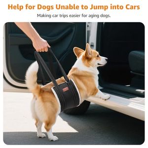 dog sling manufacturer