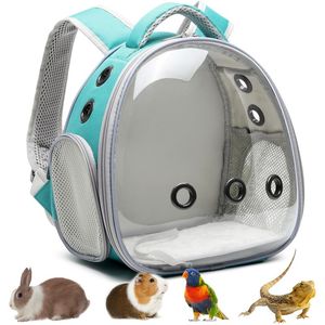 Guinea Pig Carrier Factory